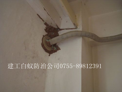 ����Σ��ͼ