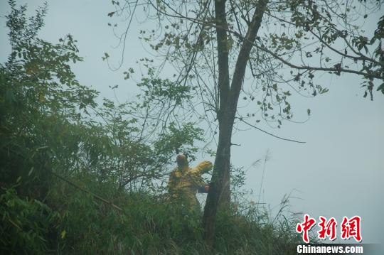 ͼΪ�����ٱ�������������ѡ����������